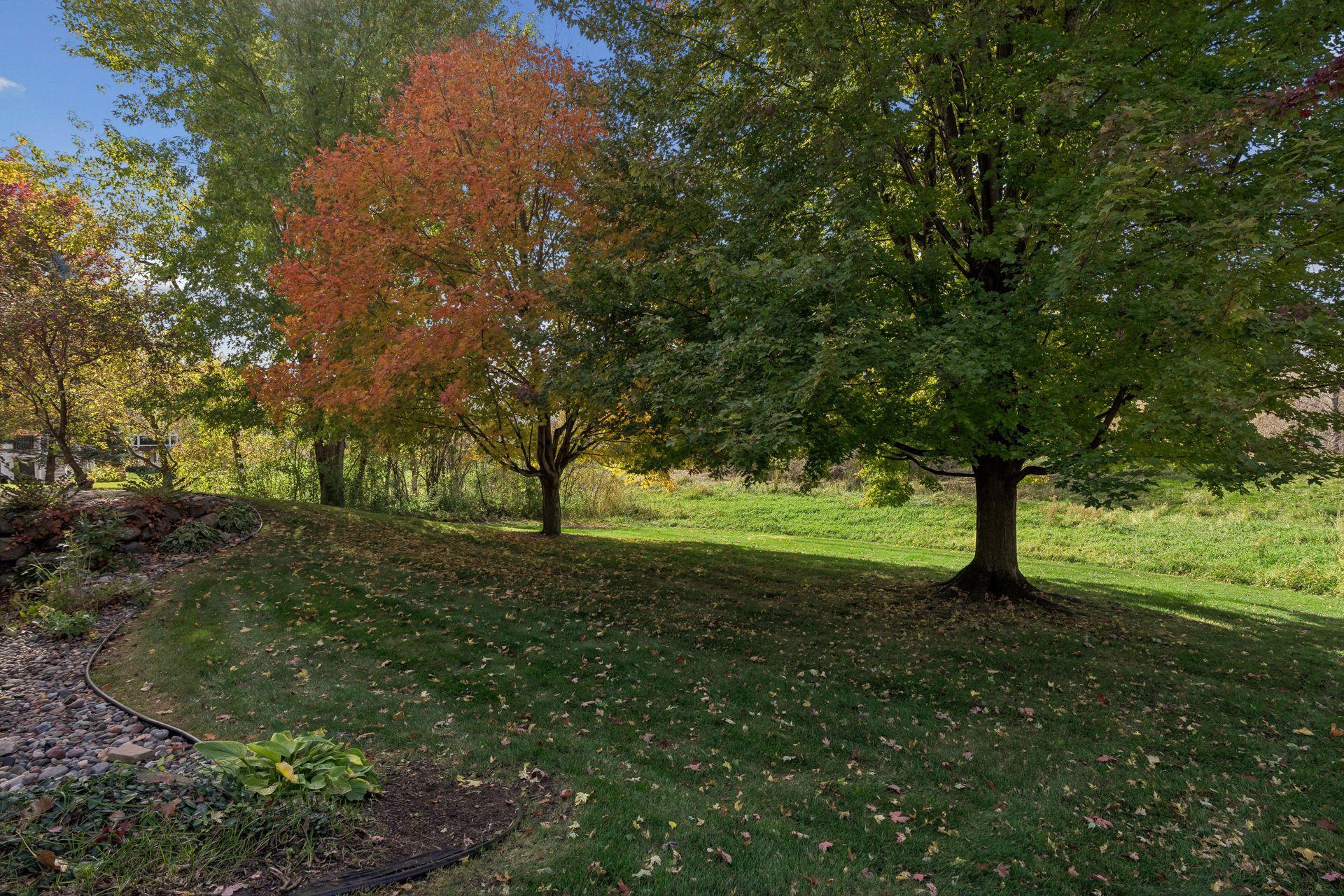 View of Residential at 14118 Jardin Avenue, Hugo MN 55038, Hugo (56 of 70) - Mike Wilen | Minnesota Team Real Estate