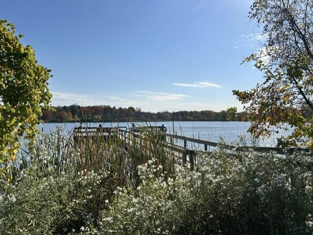 View of Residential at 2223 Maryland Avenue, Saint Paul MN 55119, Saint Paul (48 of 52) - Mike Wilen | Minnesota Team Real Estate