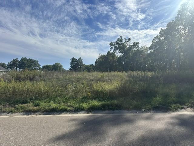 View of Land at 2334 154th Lane, Ham Lake MN 55304, Ham Lake (2 of 2) - Mike Wilen | Minnesota Team Real Estate