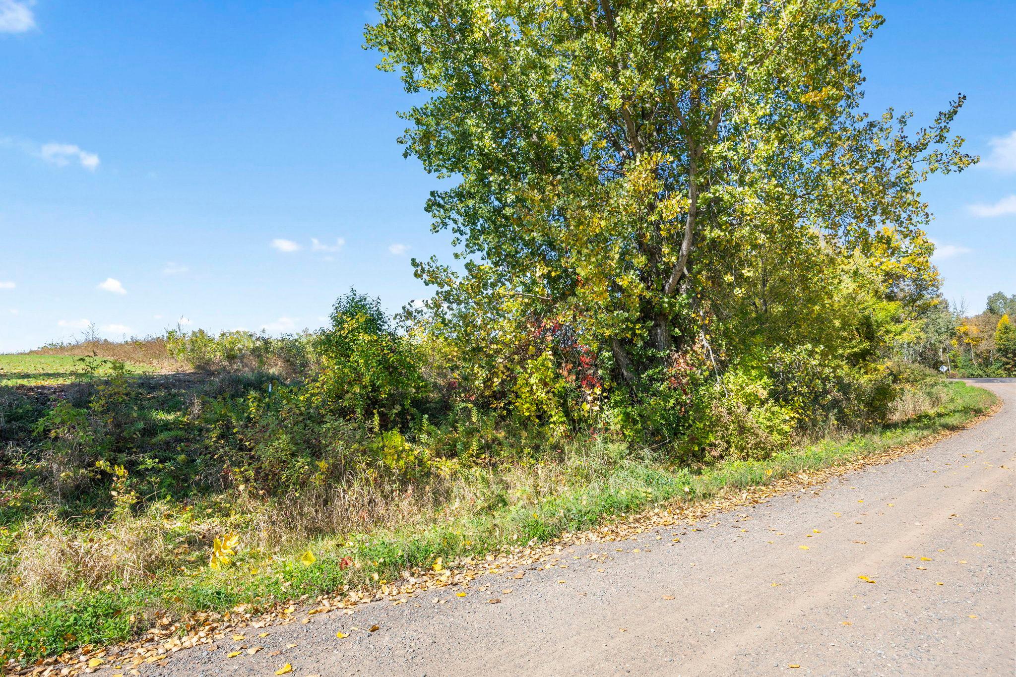 View of Land at Lot 2 328th Avenue, Cambridge MN 55008, Cambridge (24 of 26) - Mike Wilen | Minnesota Team Real Estate