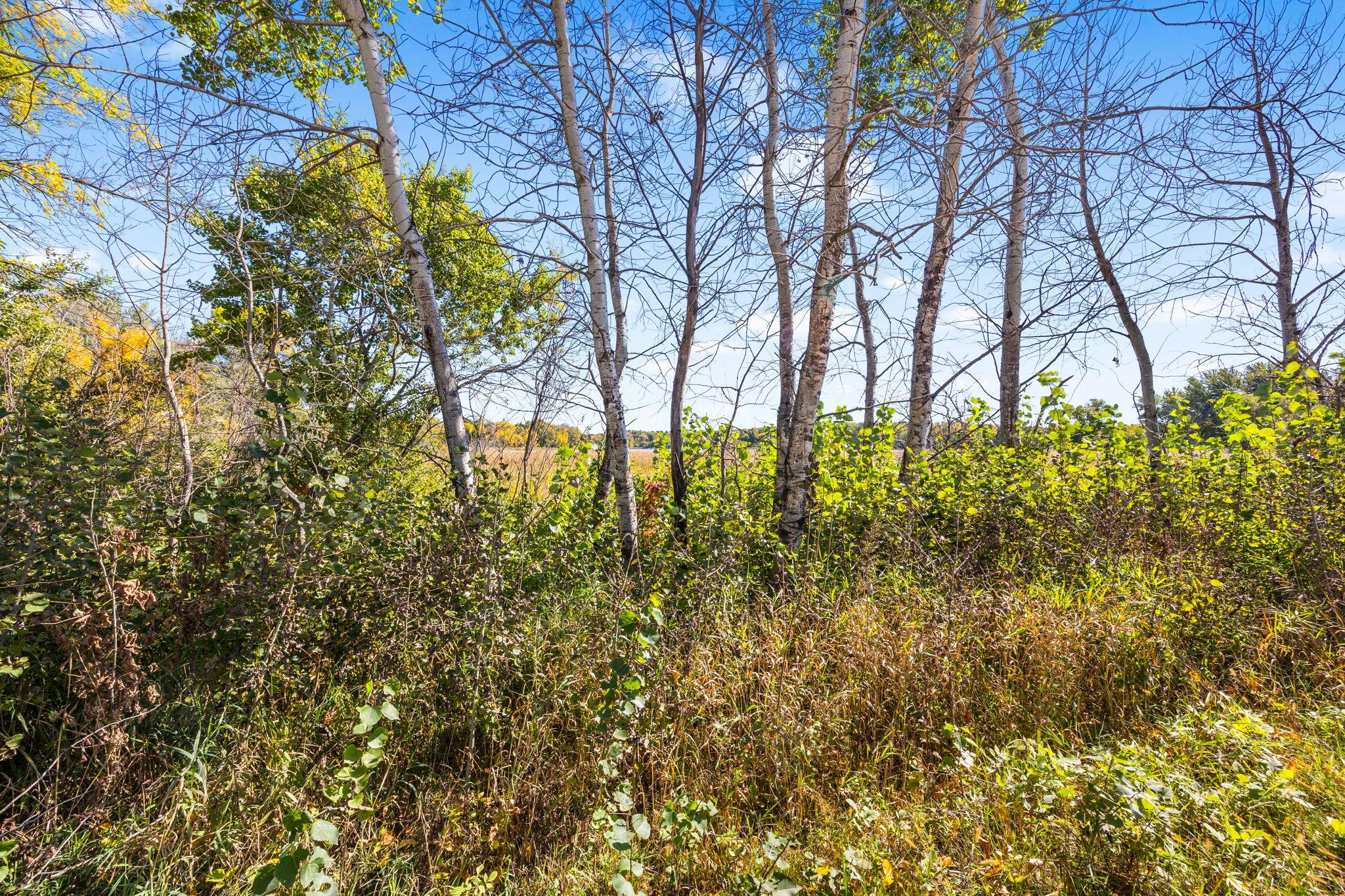 View of Land at Lot 2 328th Avenue, Cambridge MN 55008, Cambridge (23 of 26) - Mike Wilen | Minnesota Team Real Estate