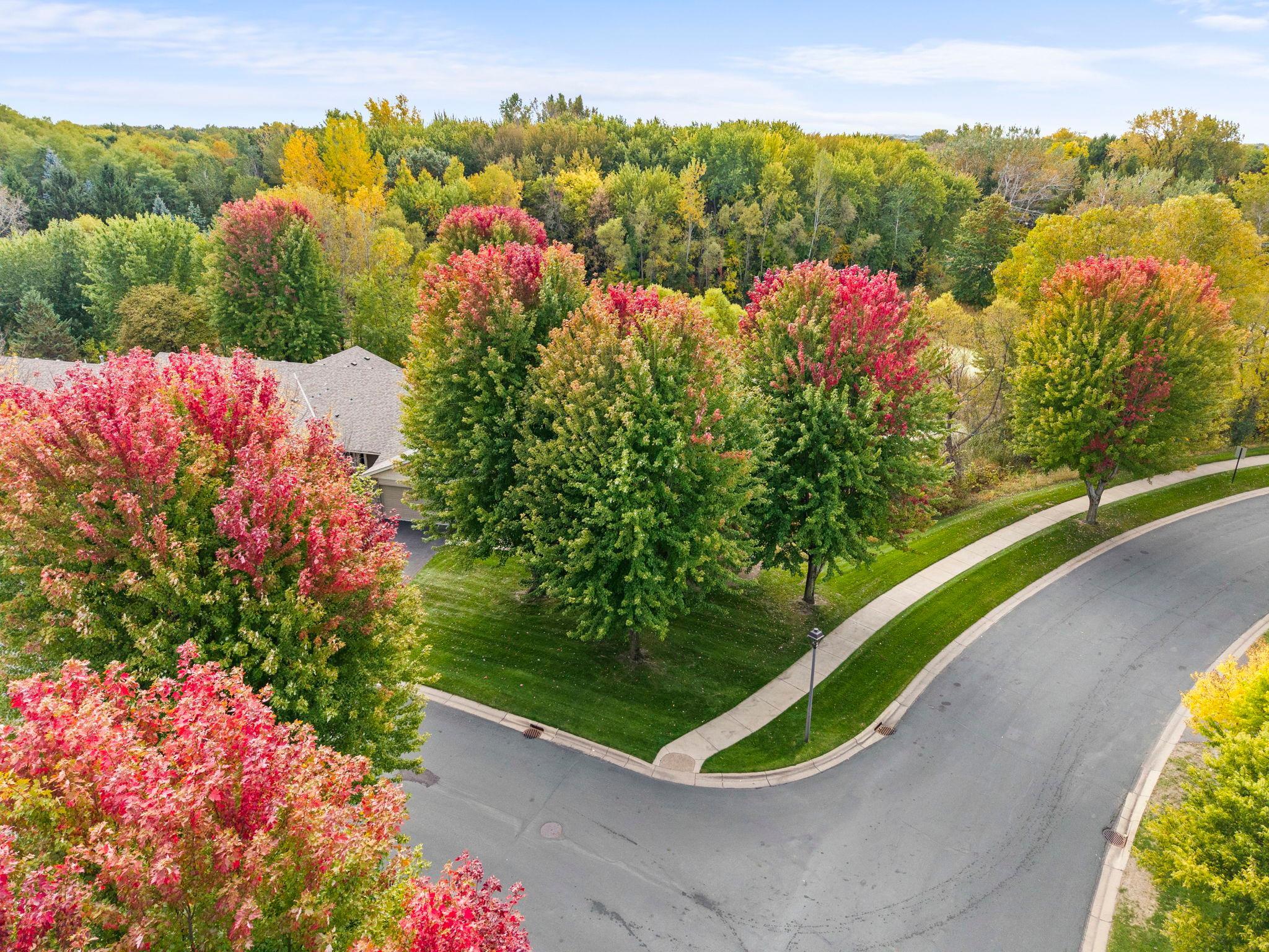 View of Residential at 308 Arrowhead Drive, Lino Lakes MN 55014, Lino Lakes (41 of 46) - Mike Wilen | Minnesota Team Real Estate