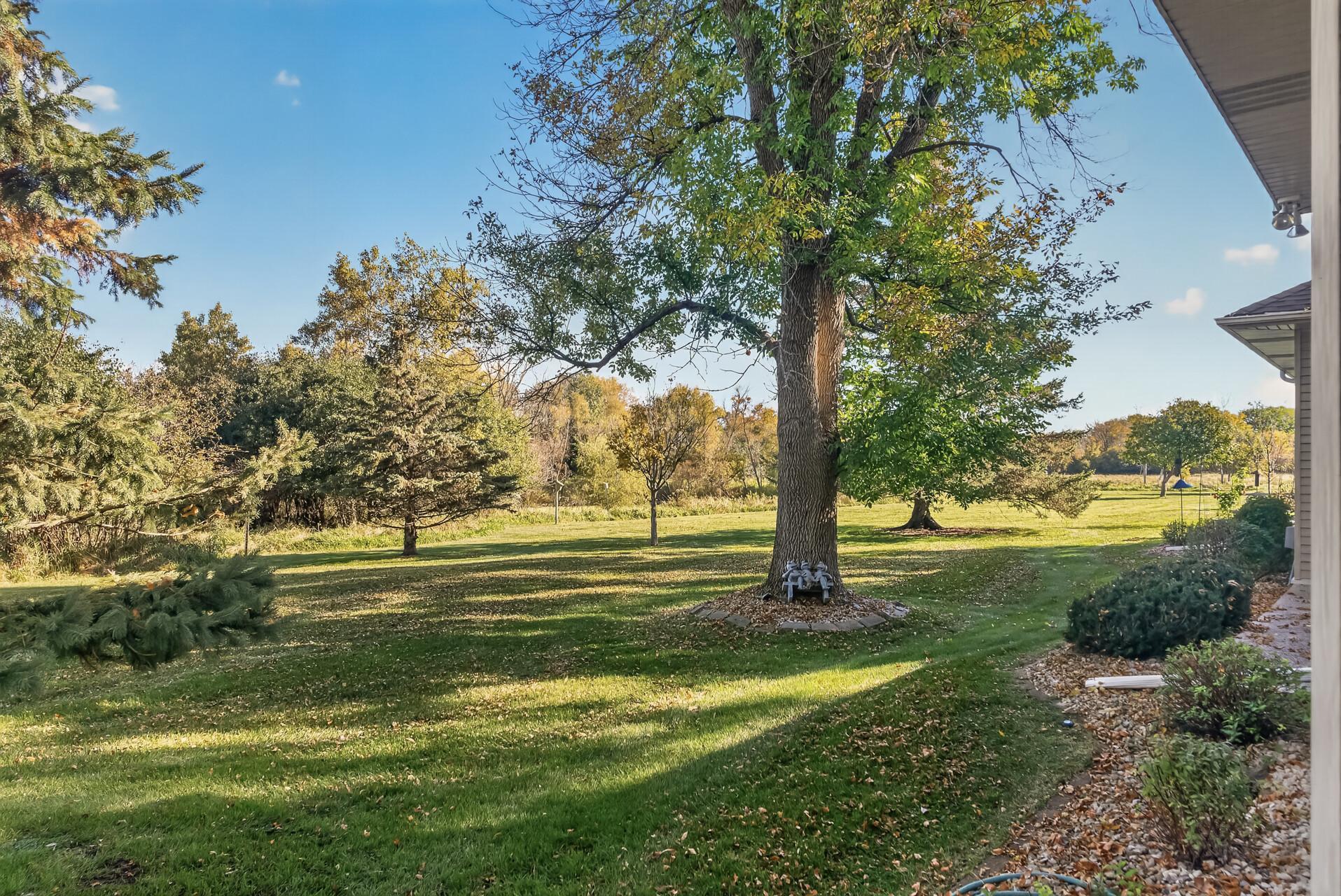 View of Residential at 12166 Bluebird Circle, Coon Rapids MN 55448, Coon Rapids (39 of 53) - Mike Wilen | Minnesota Team Real Estate