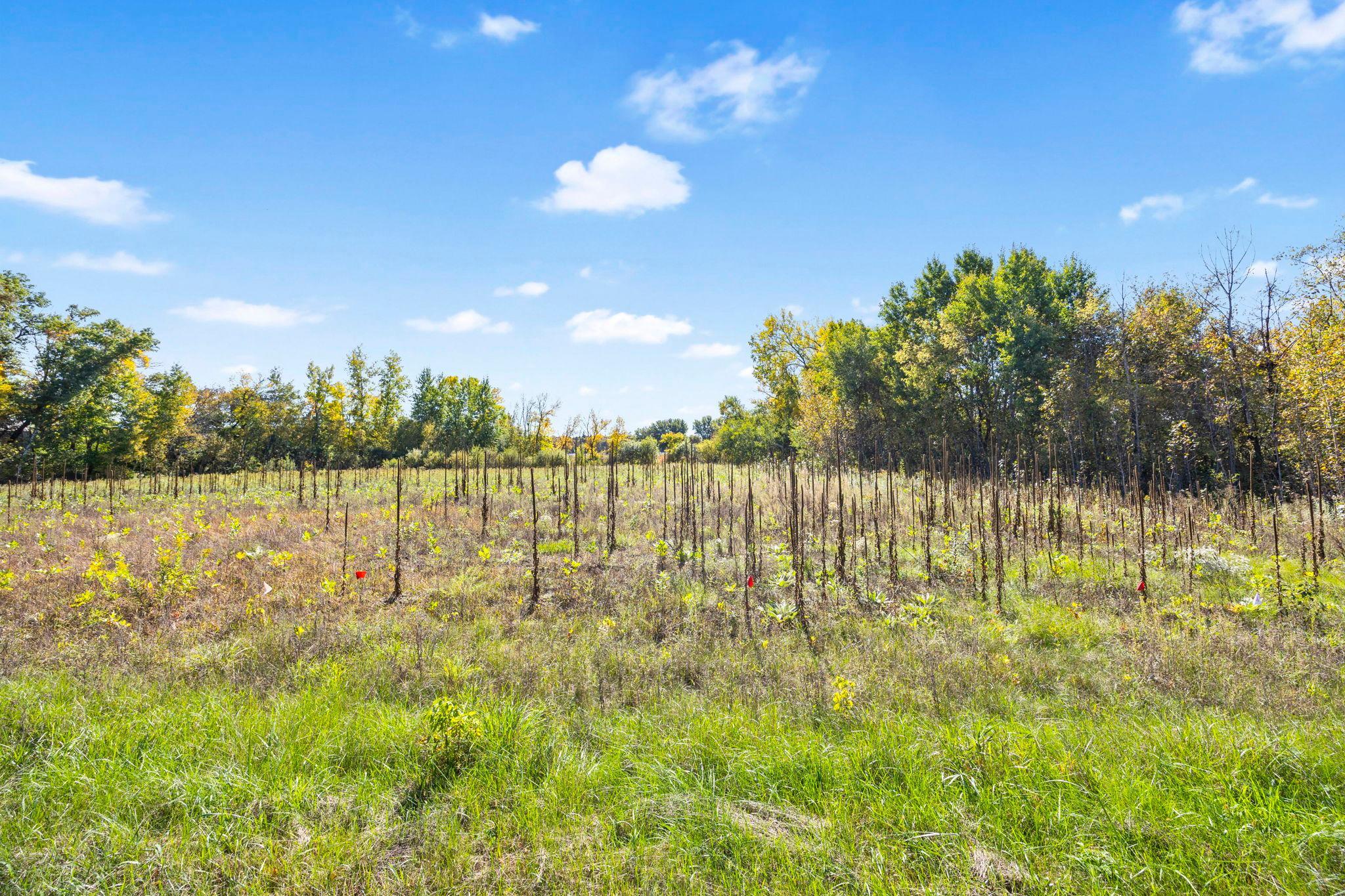 View of Land at Lot 1 328th Avenue, Cambridge MN 55008, Cambridge (18 of 20) - Mike Wilen | Minnesota Team Real Estate
