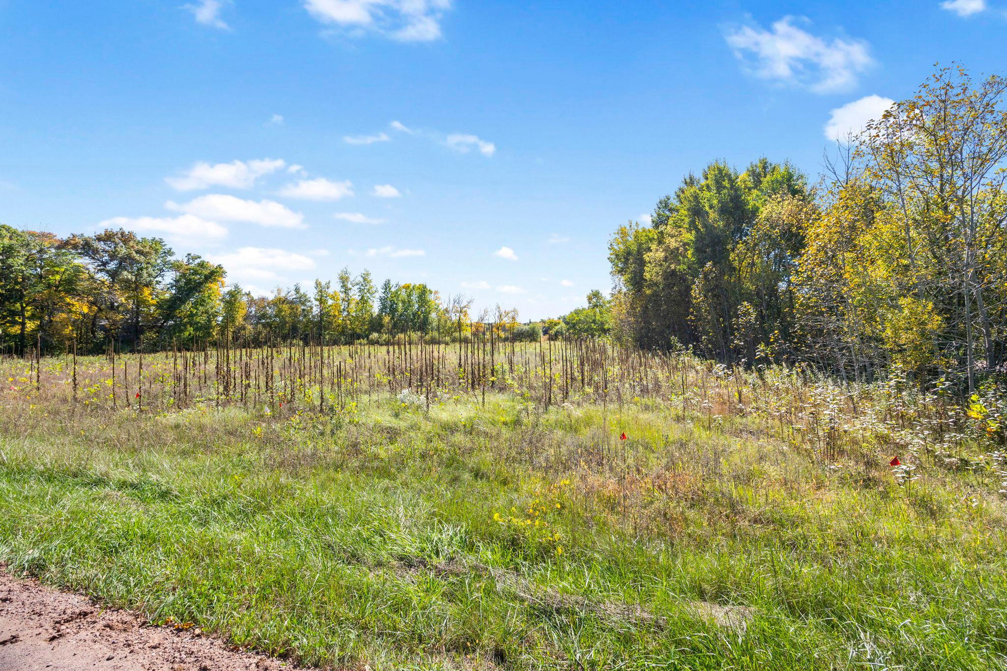 View of Land at Lot 9 Petersburg Street, Cambridge MN 55008, Cambridge (10 of 12) - Mike Wilen | Minnesota Team Real Estate