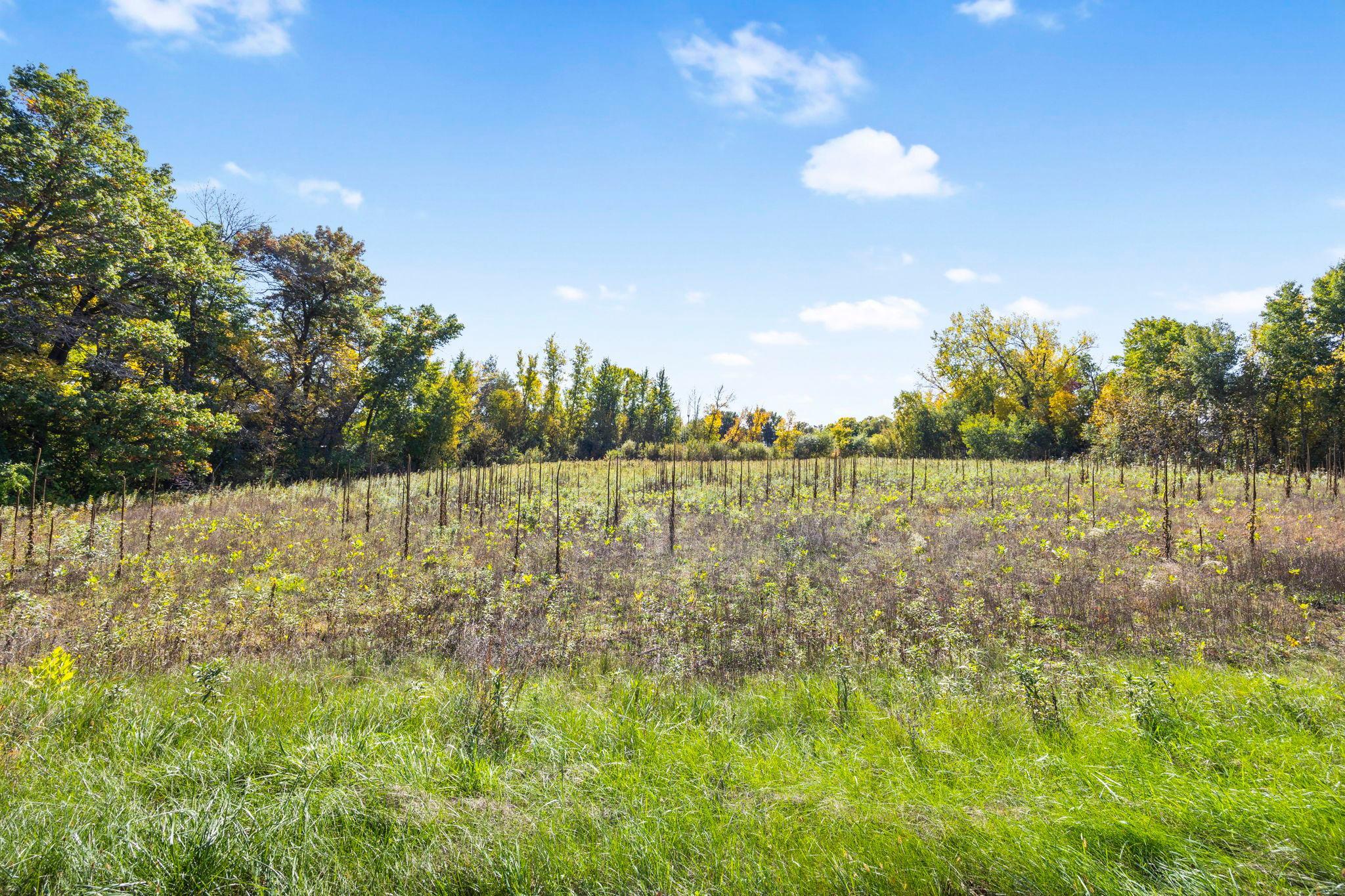 View of Land at Lot 9 Petersburg Street, Cambridge MN 55008, Cambridge (8 of 12) - Mike Wilen | Minnesota Team Real Estate