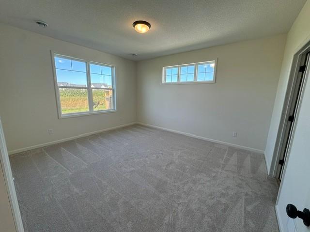 View of Residential at 6122 158th Street, Hugo MN 55038, Hugo (12 of 15) - Mike Wilen | Minnesota Team Real Estate
