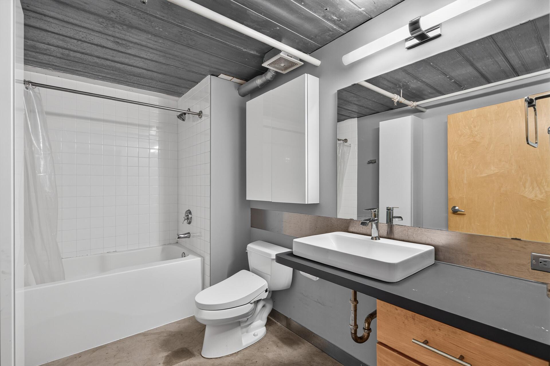 View of Residential at 250 Park Avenue #215, Minneapolis MN 55415, Minneapolis (19 of 96) - Mike Wilen | Minnesota Team Real Estate