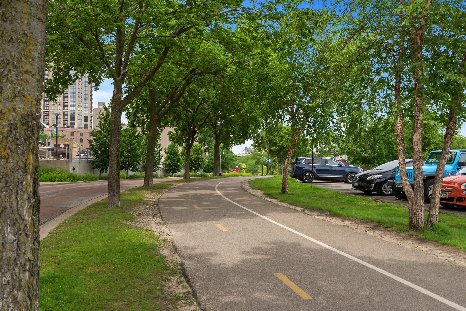 View of Residential at 250 Park Avenue #215, Minneapolis MN 55415, Minneapolis (73 of 96) - Mike Wilen | Minnesota Team Real Estate
