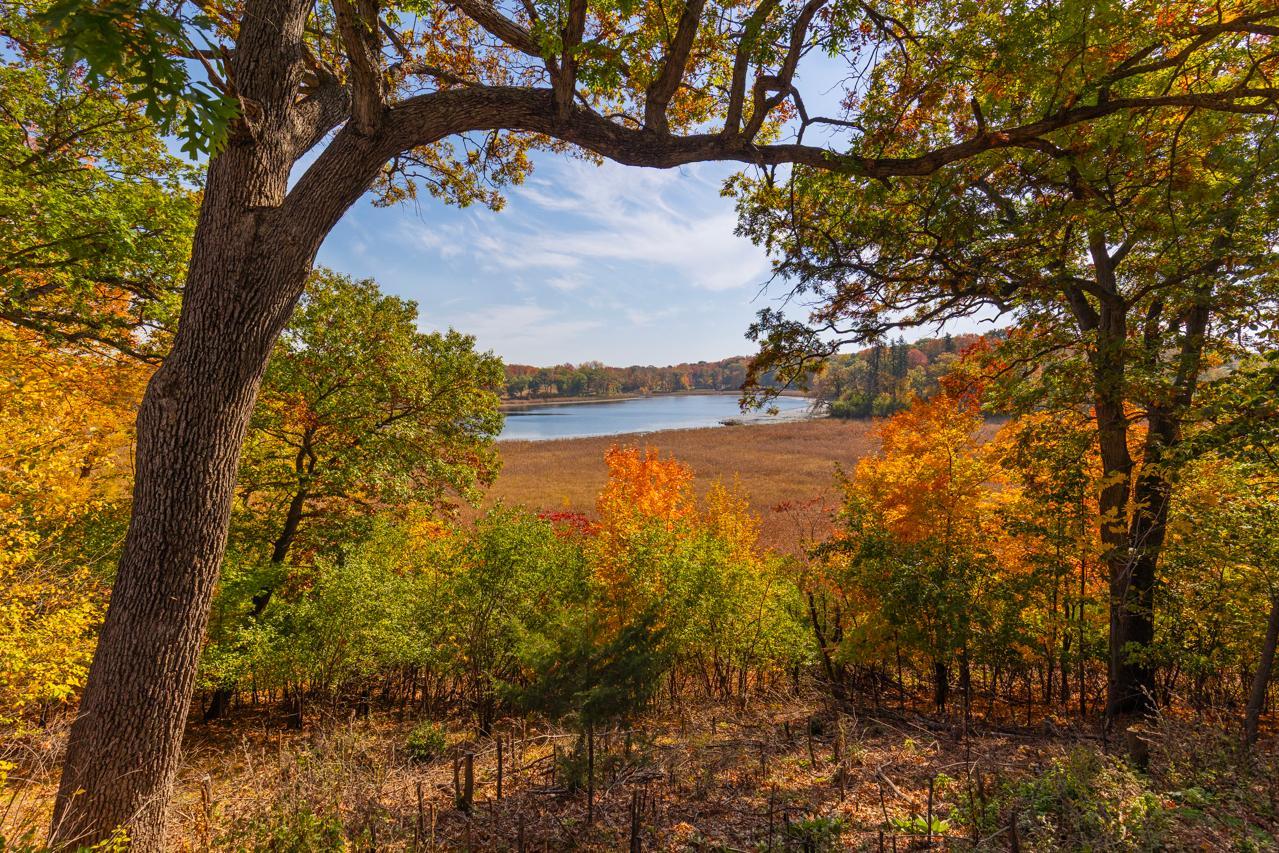 View of Residential at 2875 Gale Road, Woodland MN 55391, Woodland (39 of 43) - Mike Wilen | Minnesota Team Real Estate