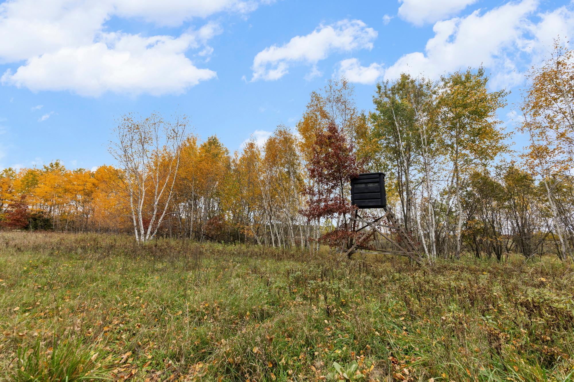 View of Residential at 5602 285th Avenue, Isanti MN 55040, Isanti (66 of 87) - Mike Wilen | Minnesota Team Real Estate