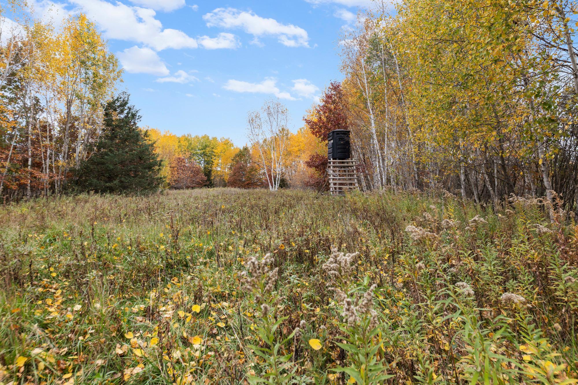 View of Residential at 5602 285th Avenue, Isanti MN 55040, Isanti (62 of 87) - Mike Wilen | Minnesota Team Real Estate