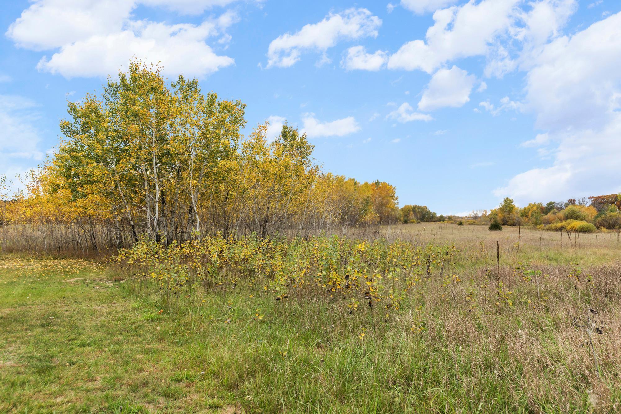 View of Residential at 5602 285th Avenue, Isanti MN 55040, Isanti (58 of 87) - Mike Wilen | Minnesota Team Real Estate