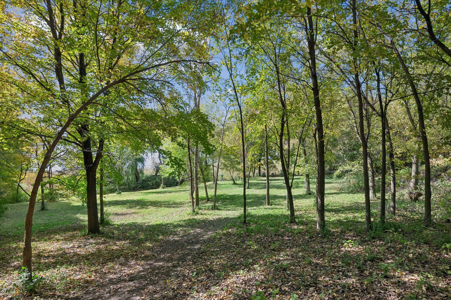 View of Residential at 3225 6th Avenue, Orono MN 55356, Orono (38 of 49) - Mike Wilen | Minnesota Team Real Estate