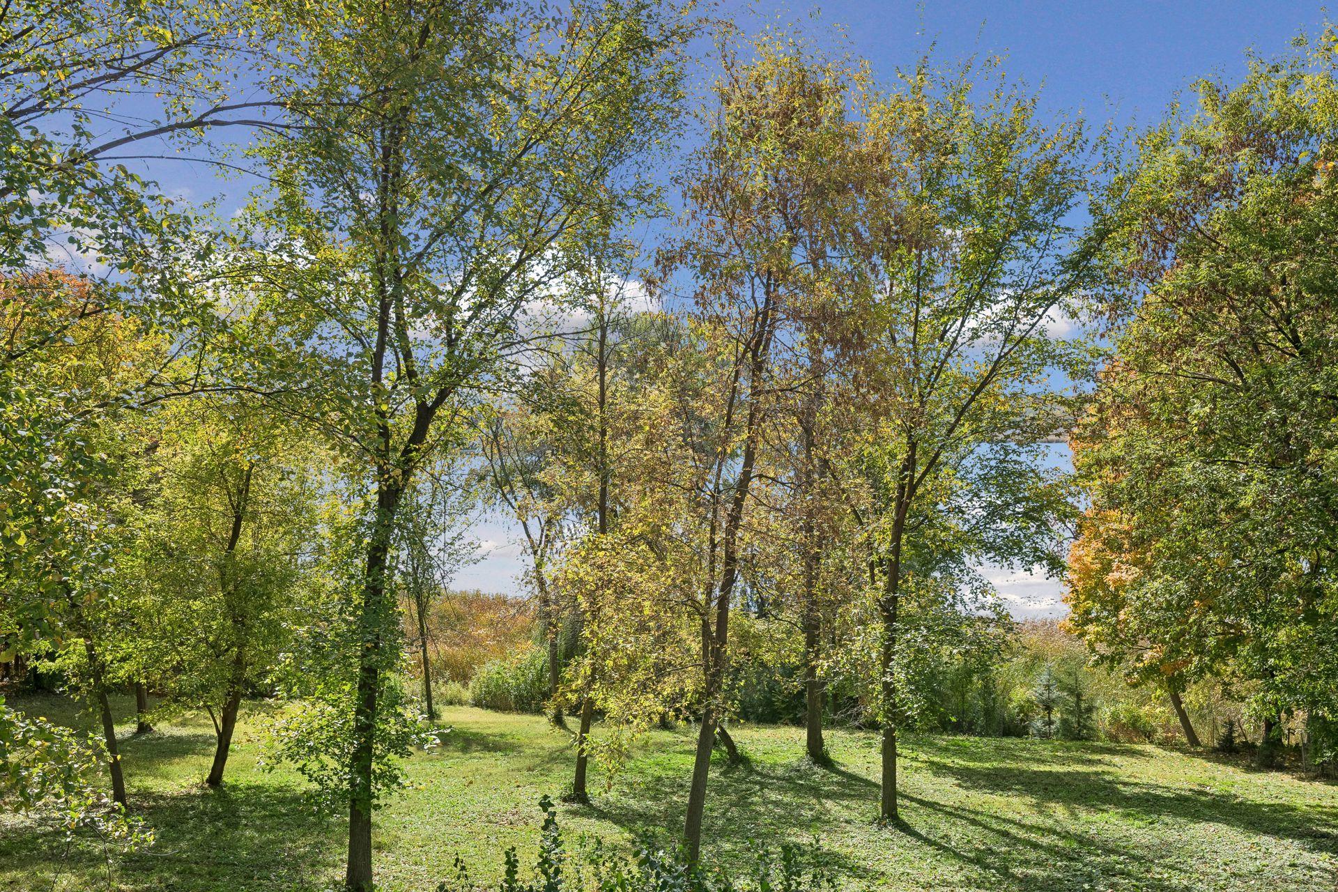 View of Residential at 3225 6th Avenue, Orono MN 55356, Orono (37 of 49) - Mike Wilen | Minnesota Team Real Estate