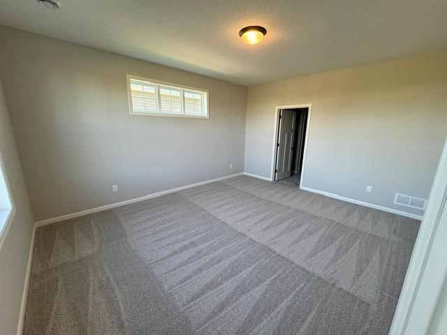 View of Residential at 6132 158th Street, Hugo MN 55038, Hugo (13 of 21) - Mike Wilen | Minnesota Team Real Estate