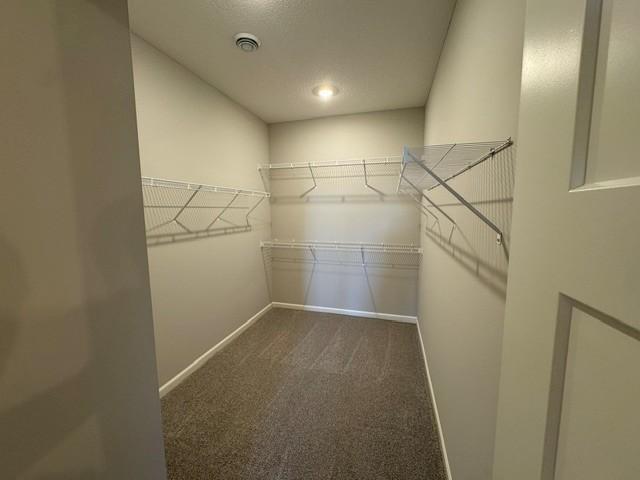View of Residential at 6132 158th Street, Hugo MN 55038, Hugo (16 of 21) - Mike Wilen | Minnesota Team Real Estate