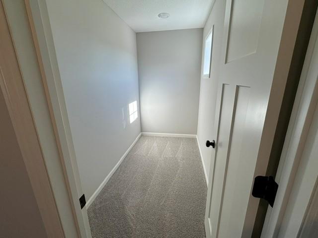 View of Residential at 6132 158th Street, Hugo MN 55038, Hugo (17 of 21) - Mike Wilen | Minnesota Team Real Estate