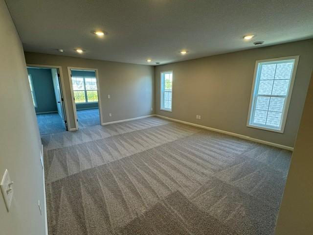 View of Residential at 6132 158th Street, Hugo MN 55038, Hugo (18 of 21) - Mike Wilen | Minnesota Team Real Estate