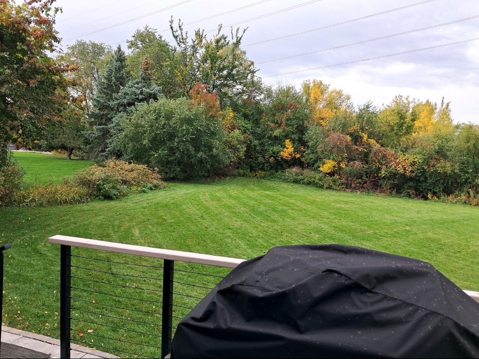View of Residential at 15370 96th Place, Maple Grove MN 55369, Maple Grove (55 of 56) - Mike Wilen | Minnesota Team Real Estate