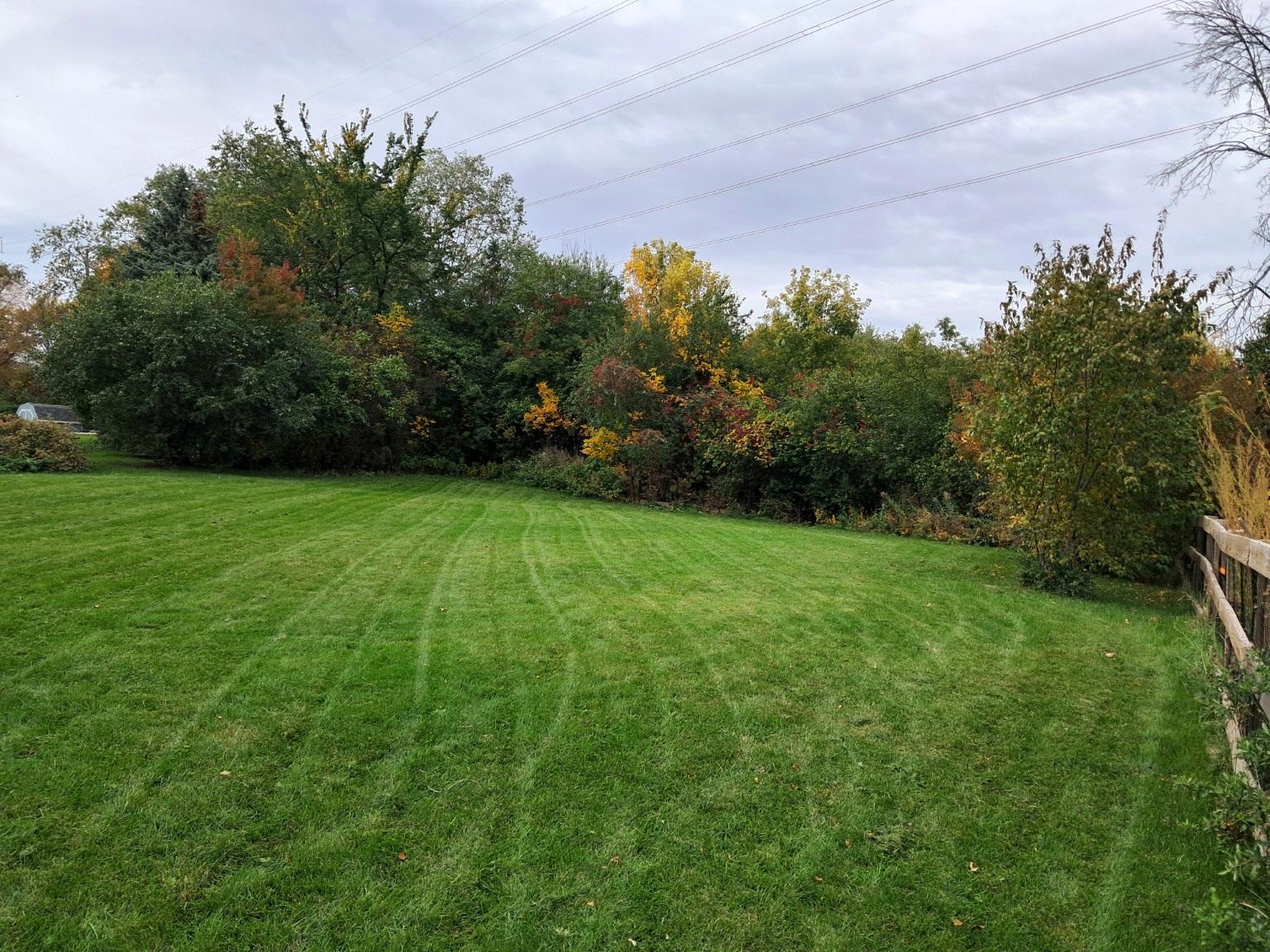 View of Residential at 15370 96th Place, Maple Grove MN 55369, Maple Grove (53 of 56) - Mike Wilen | Minnesota Team Real Estate