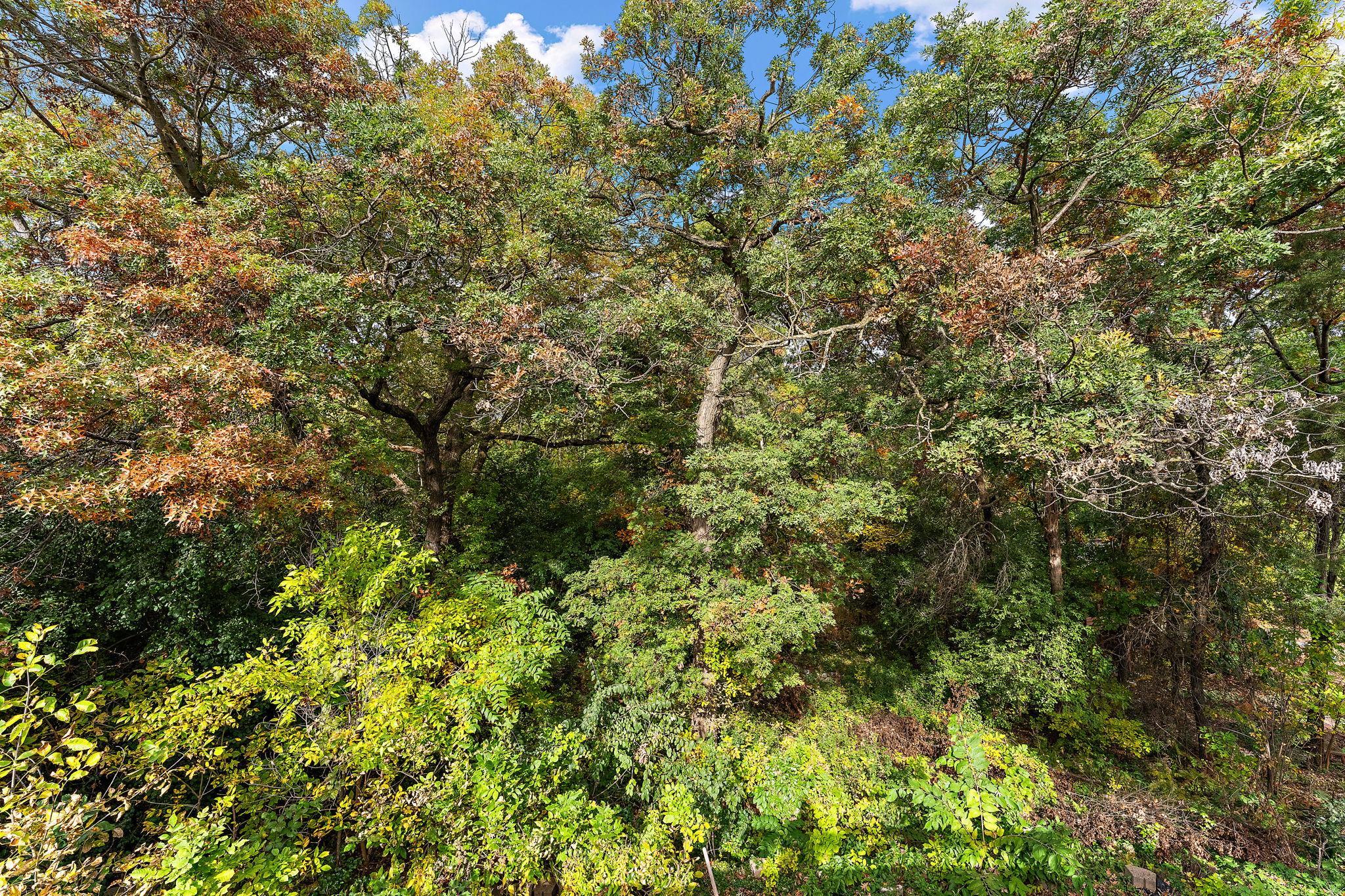 View of Residential at 475 Springhill Road, Vadnais Heights MN 55127, Vadnais Heights (33 of 33) - Mike Wilen | Minnesota Team Real Estate