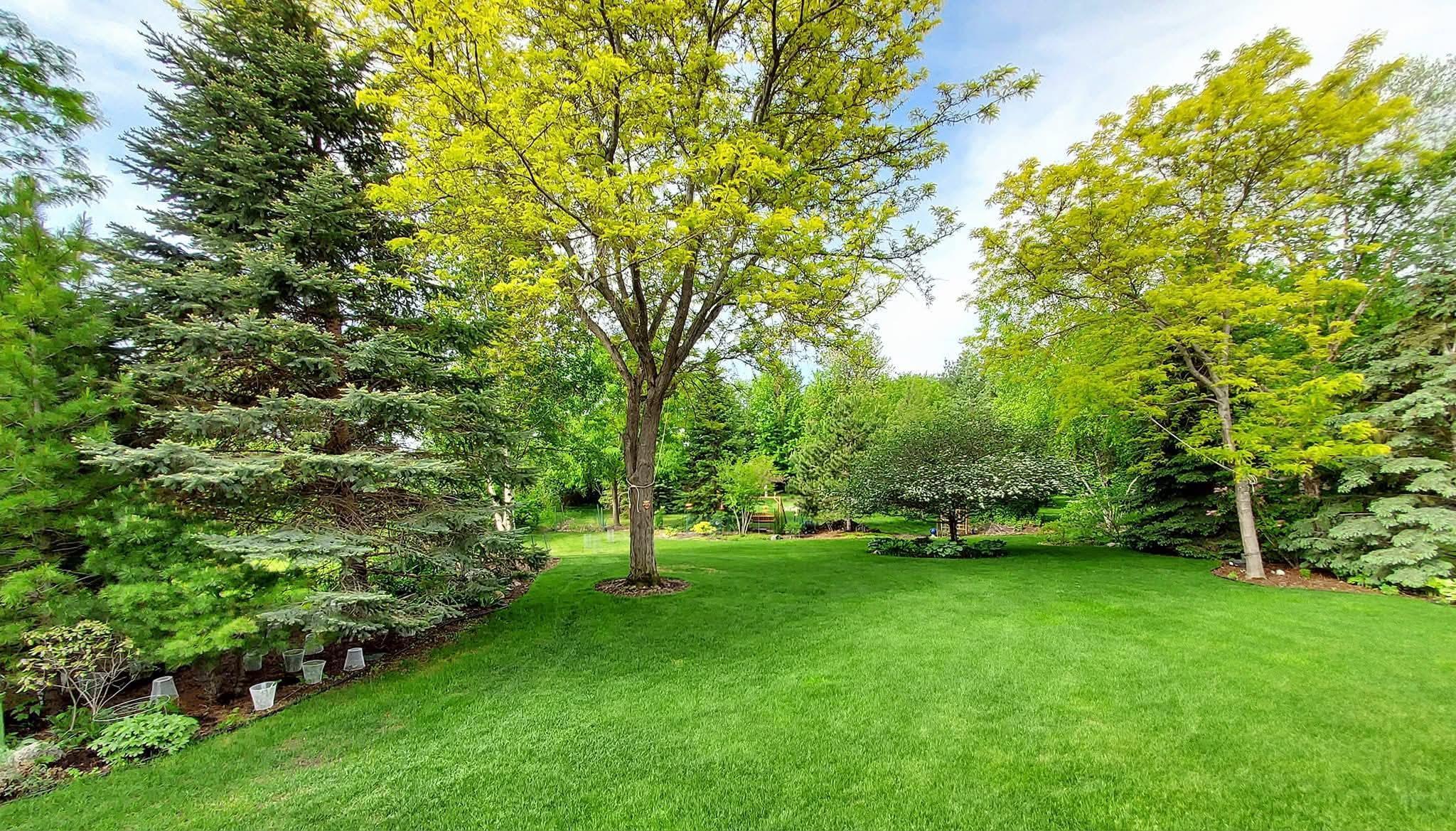 View of Residential at 414 Ramsey Avenue, Carver MN 55315, Carver (10 of 17) - Mike Wilen | Minnesota Team Real Estate