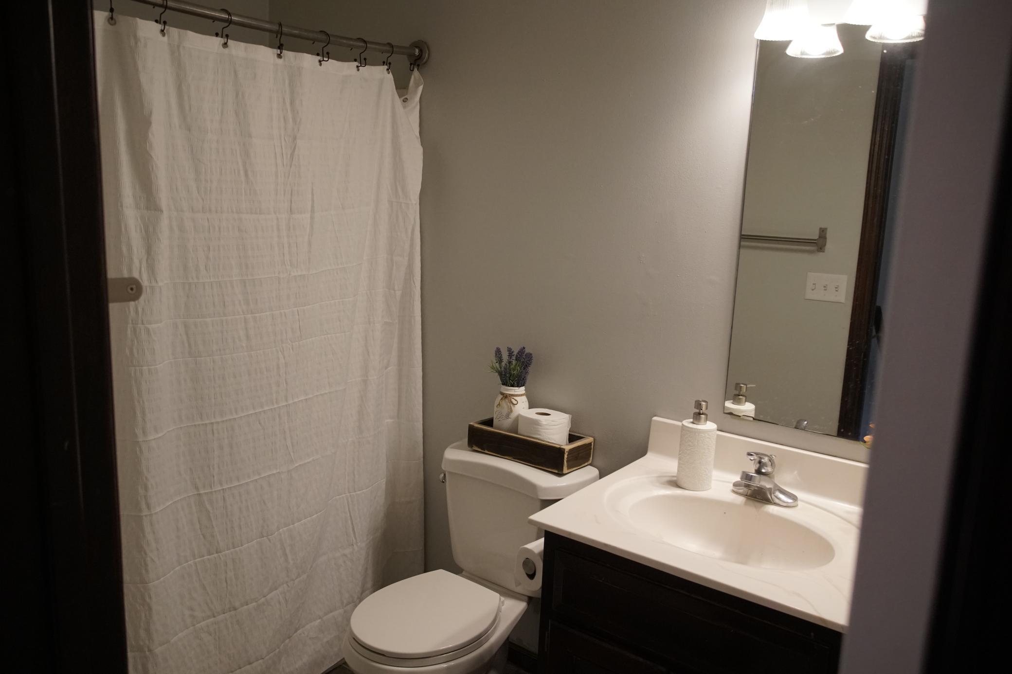 View of Residential at 210 10th Street, New Prague MN 56071, New Prague (11 of 35) - Mike Wilen | Minnesota Team Real Estate