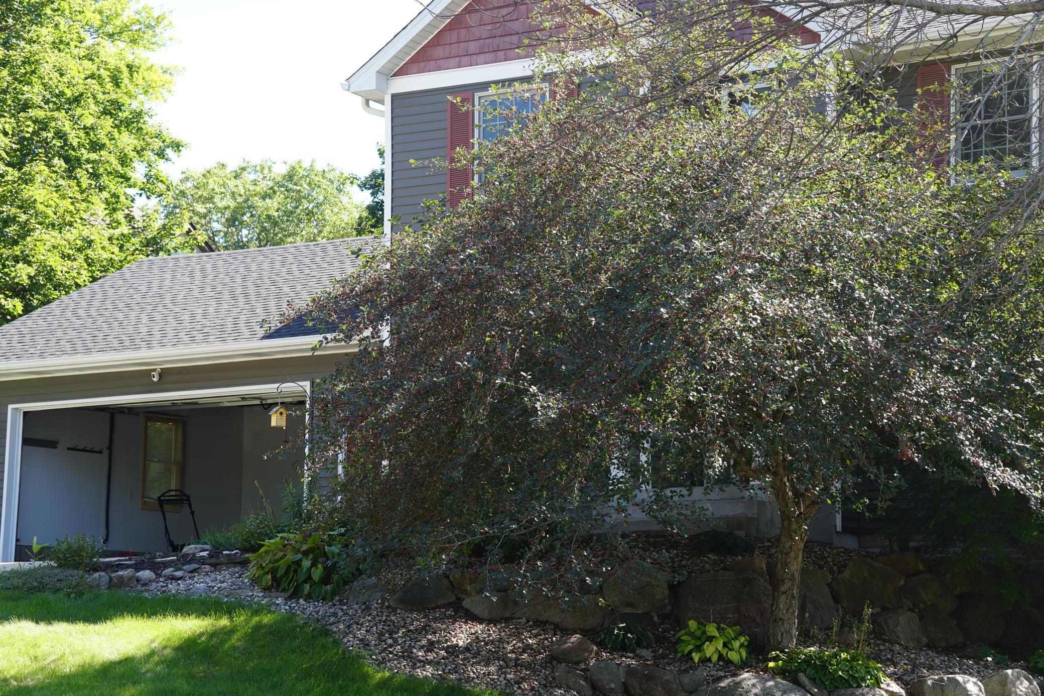 View of Residential at 210 10th Street, New Prague MN 56071, New Prague (26 of 35) - Mike Wilen | Minnesota Team Real Estate