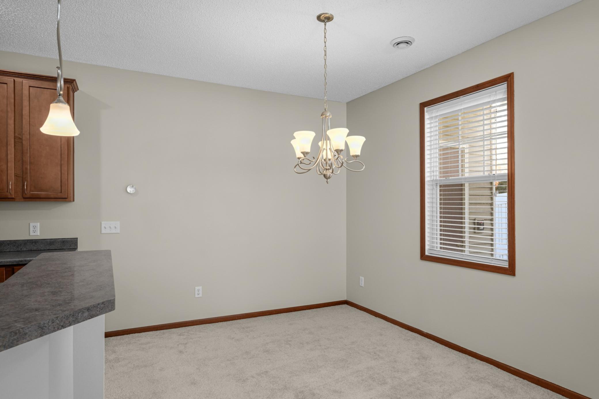 View of Residential at 19751 Escort Trail #501, Farmington MN 55024, Farmington (10 of 41) - Mike Wilen | Minnesota Team Real Estate
