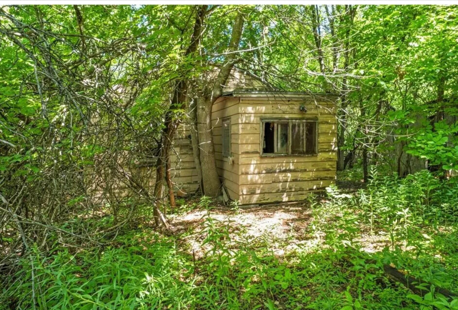 View of Land at 4612 County Road 116, Medina MN 55340, Medina (7 of 8) - Mike Wilen | Minnesota Team Real Estate