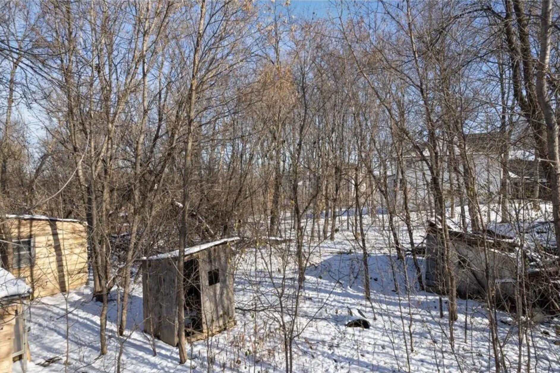 View of Land at 4612 County Road 116, Medina MN 55340, Medina (5 of 8) - Mike Wilen | Minnesota Team Real Estate