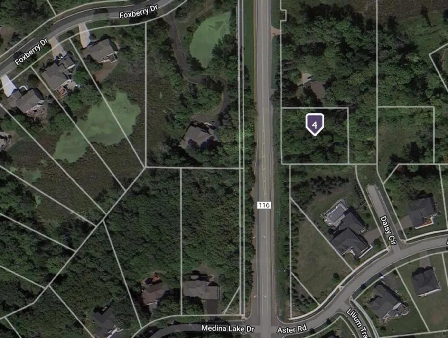 View of Land at 4612 County Road 116, Medina MN 55340, Medina (4 of 8) - Mike Wilen | Minnesota Team Real Estate
