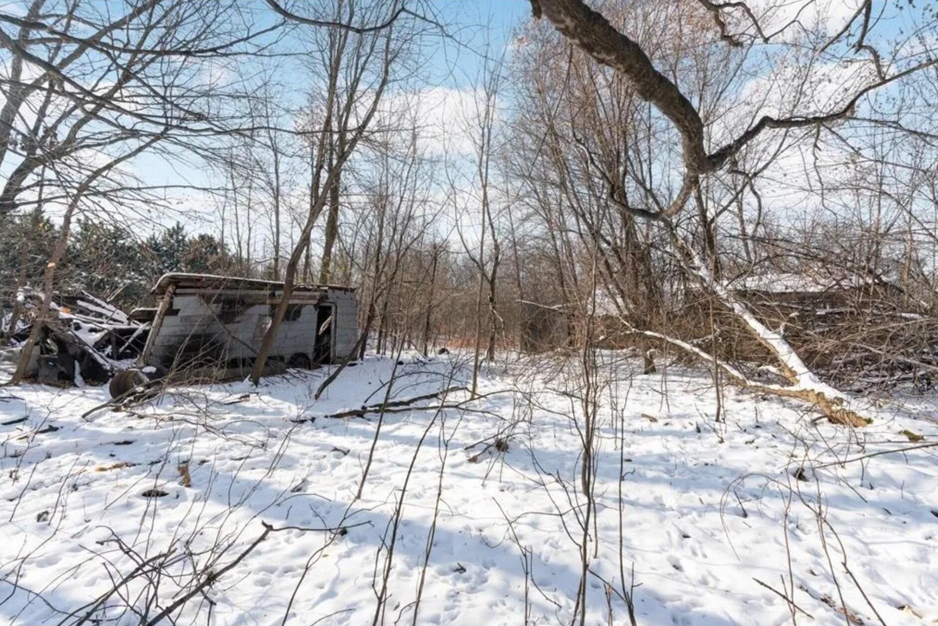 View of Land at 4612 County Road 116, Medina MN 55340, Medina (3 of 8) - Mike Wilen | Minnesota Team Real Estate