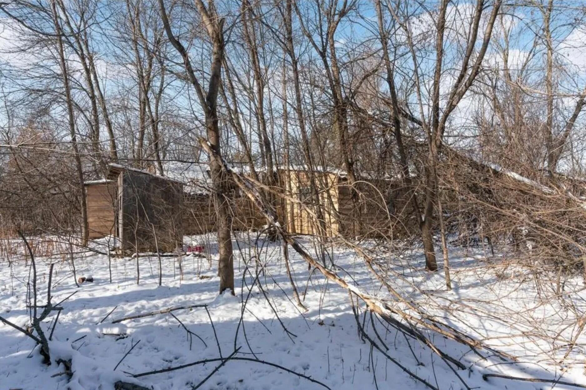 View of Land at 4612 County Road 116, Medina MN 55340, Medina (2 of 8) - Mike Wilen | Minnesota Team Real Estate