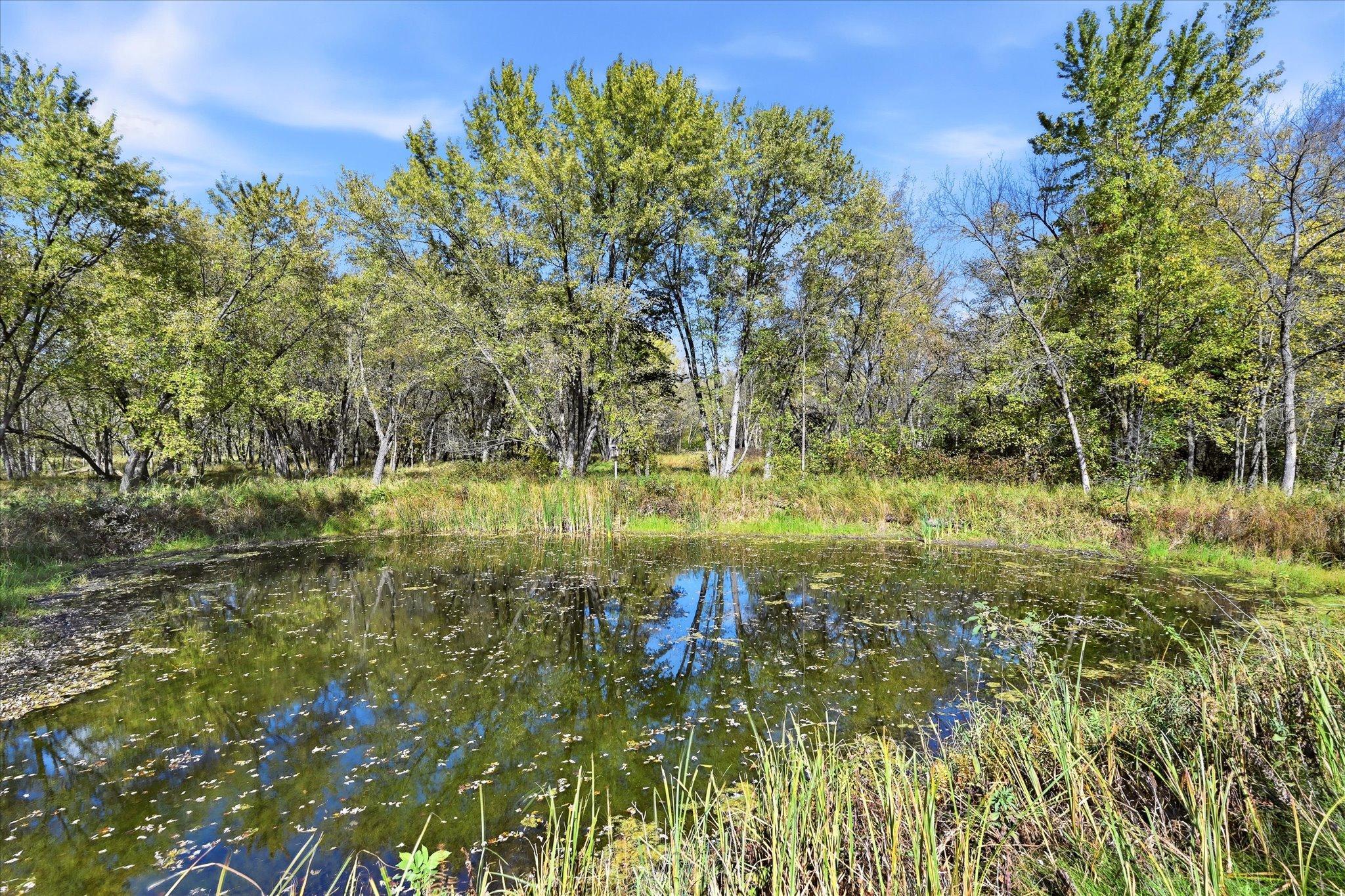 View of Residential at 16818 233rd Avenue, Big Lake MN 55309, Big Lake (51 of 63) - Mike Wilen | Minnesota Team Real Estate