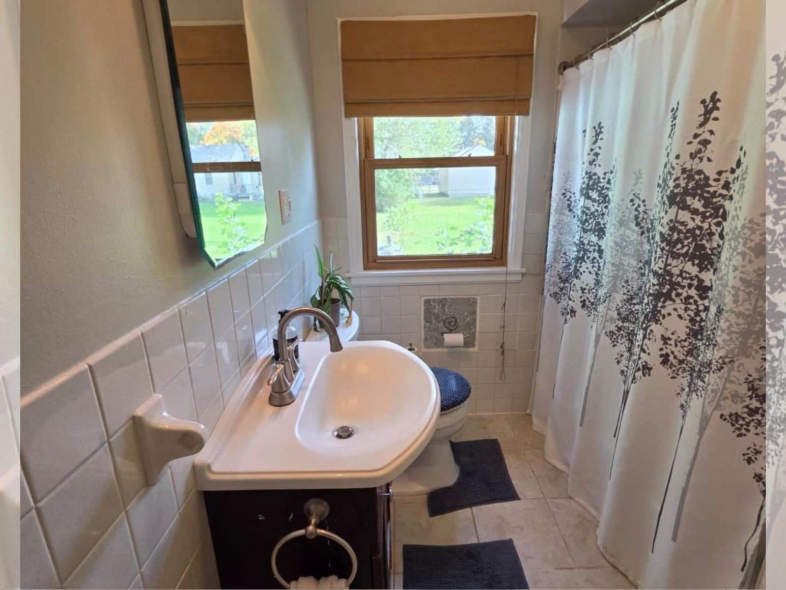 View of Residential at 251 State Avenue, New Germany MN 55367, New Germany (13 of 23) - Mike Wilen | Minnesota Team Real Estate