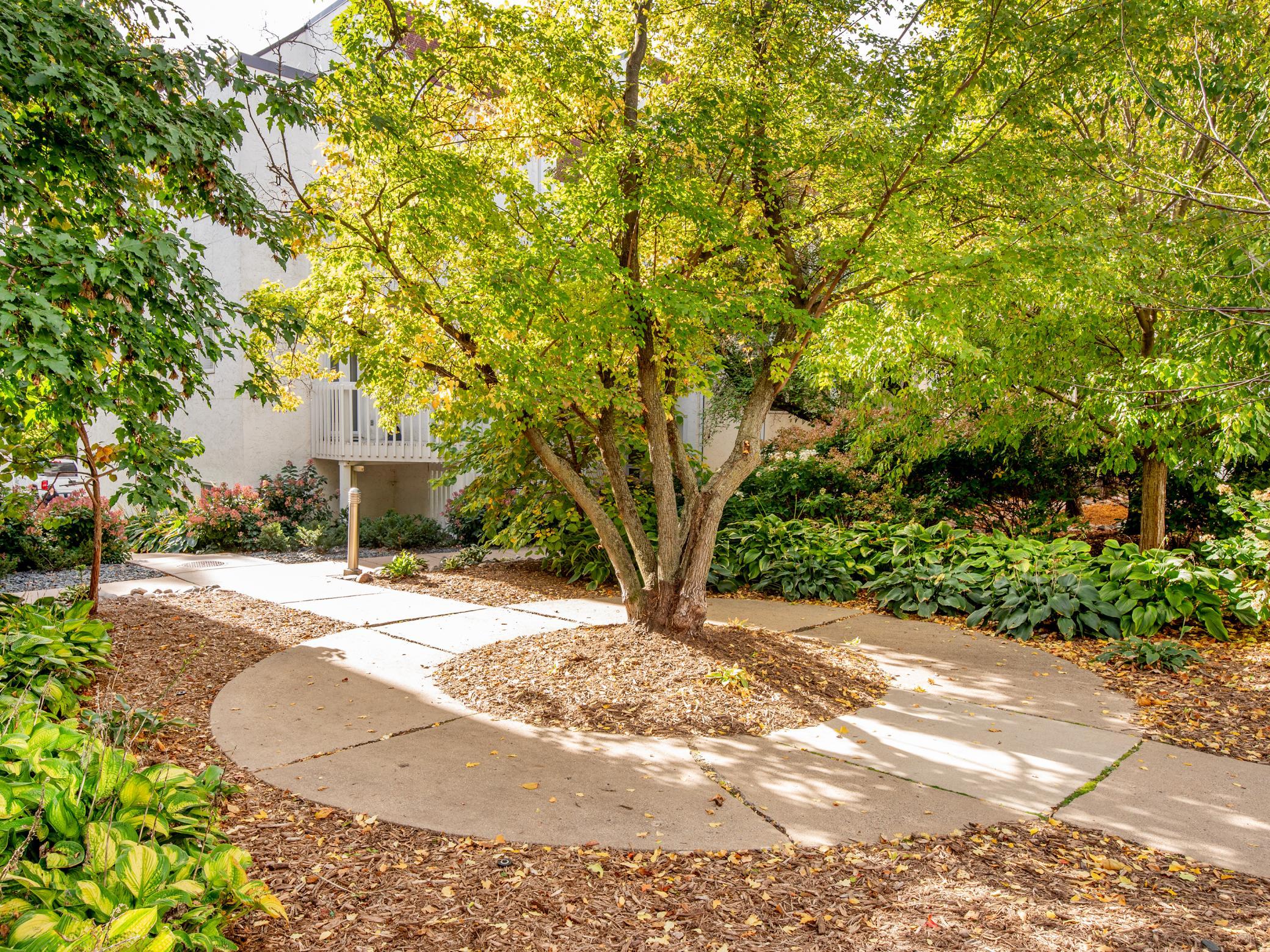 View of Residential at 3001 Lake Shore Drive #A, Minneapolis MN 55416, Minneapolis (40 of 50) - Mike Wilen | Minnesota Team Real Estate