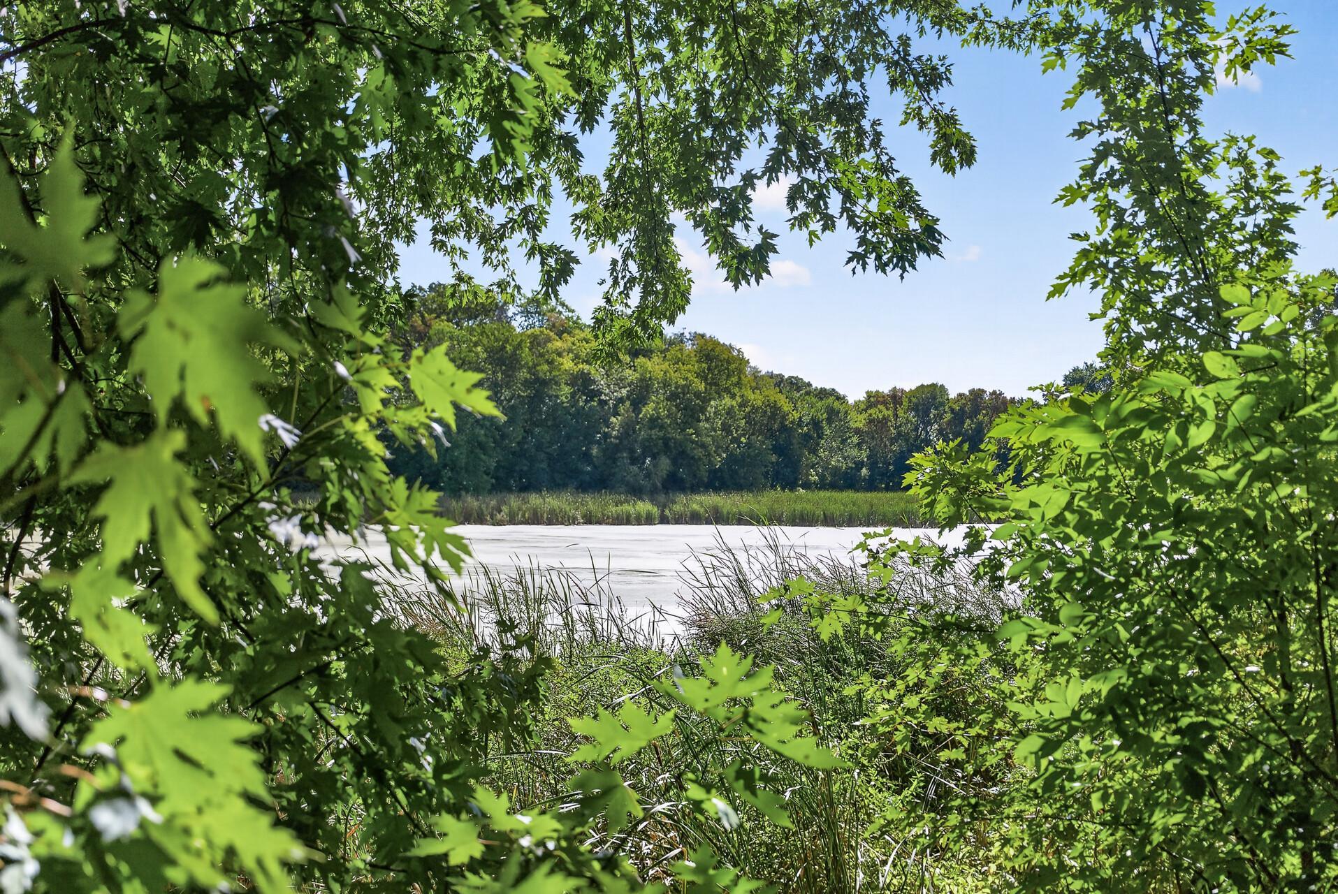 View of Residential at 7610 Lanewood Lane, Maple Grove MN 55311, Maple Grove (51 of 57) - Mike Wilen | Minnesota Team Real Estate
