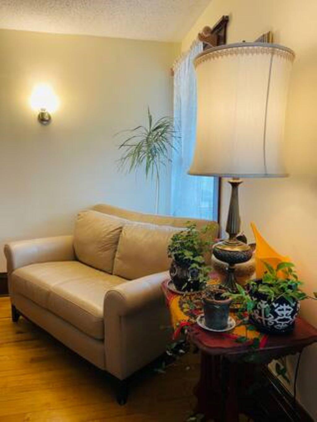 View of Residential Income at 911 Dayton Avenue, Saint Paul MN 55104, Saint Paul (23 of 32) - Mike Wilen | Minnesota Team Real Estate