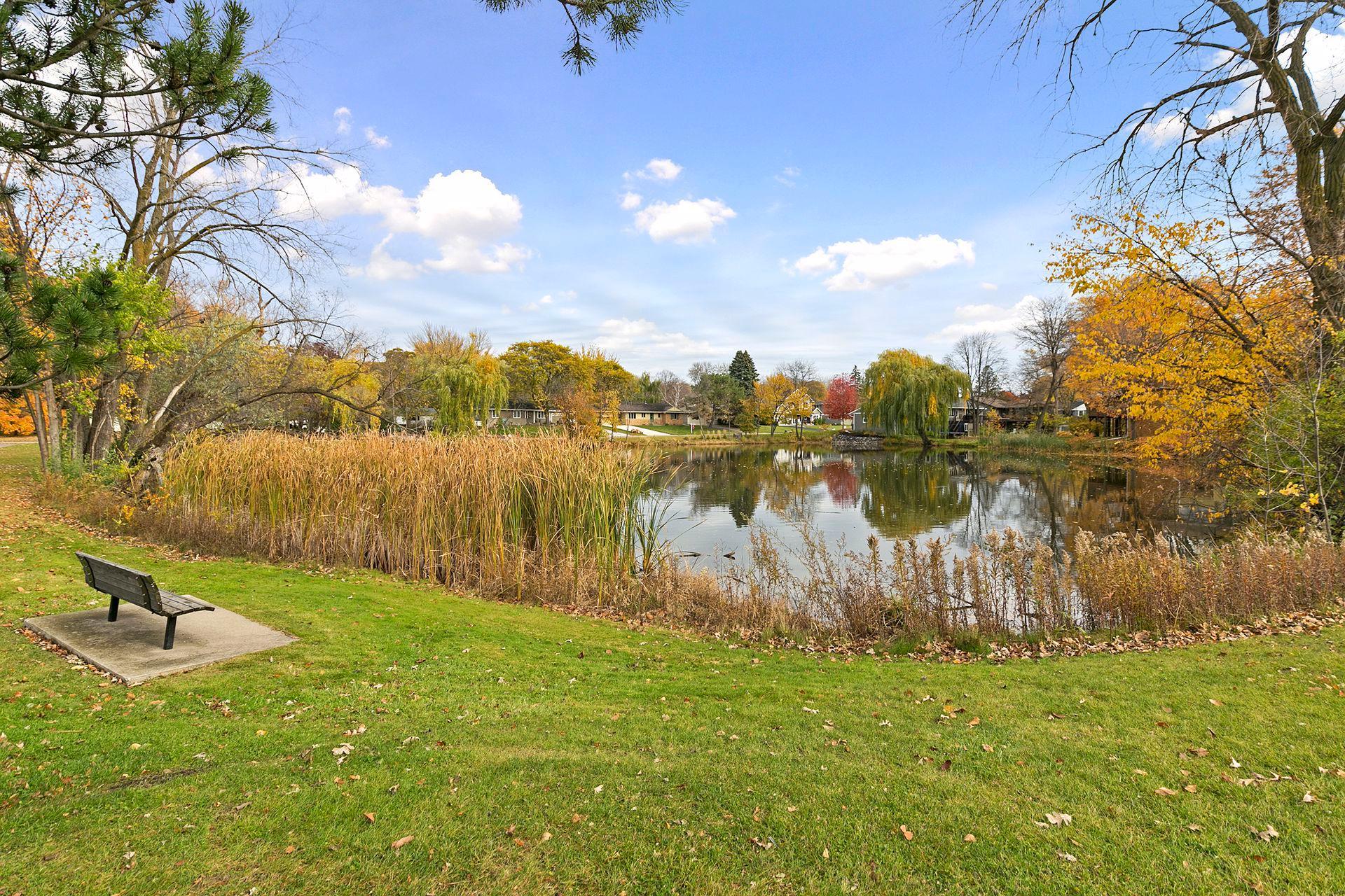 View of Residential at 5201 Birchcrest Drive, Edina MN 55436, Edina (40 of 45) - Mike Wilen | Minnesota Team Real Estate