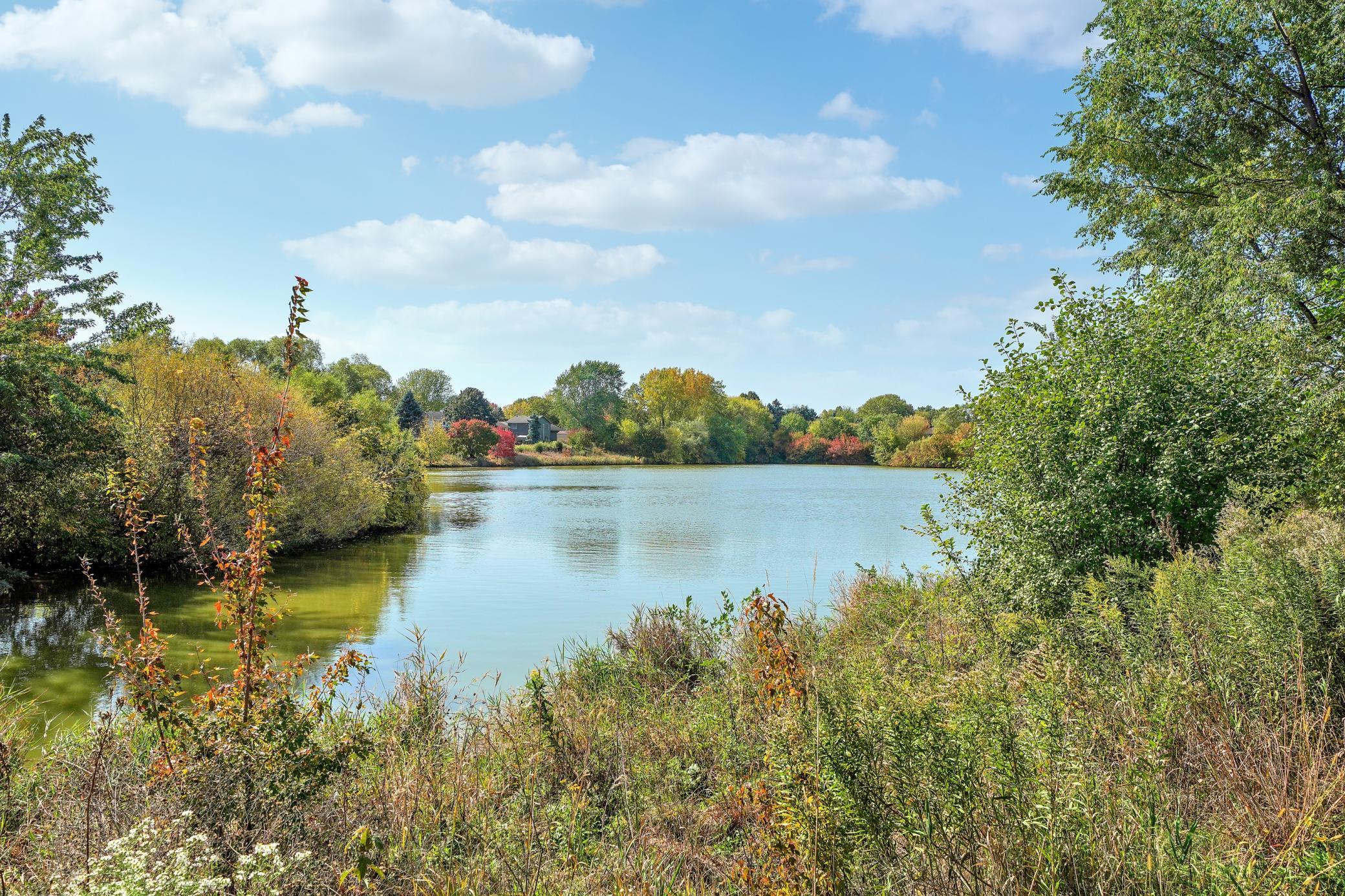 View of Residential at 15171 Claret Circle, Rosemount MN 55068, Rosemount (2 of 34) - Mike Wilen | Minnesota Team Real Estate
