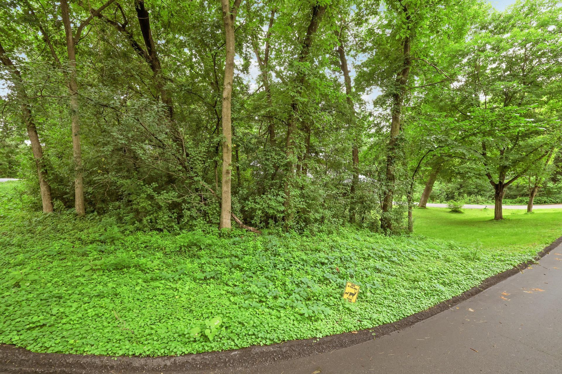 View of Residential at 15801 Day Place, Minnetonka MN 55345, Minnetonka (49 of 68) - Mike Wilen | Minnesota Team Real Estate
