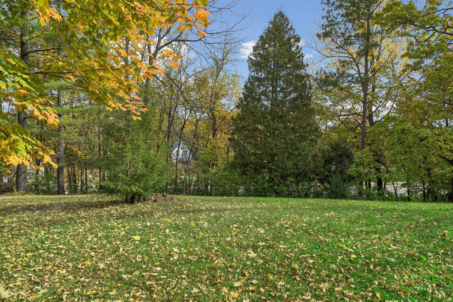 View of Residential at 6020 Mill Street, Shorewood MN 55331, Shorewood (56 of 56) - Mike Wilen | Minnesota Team Real Estate