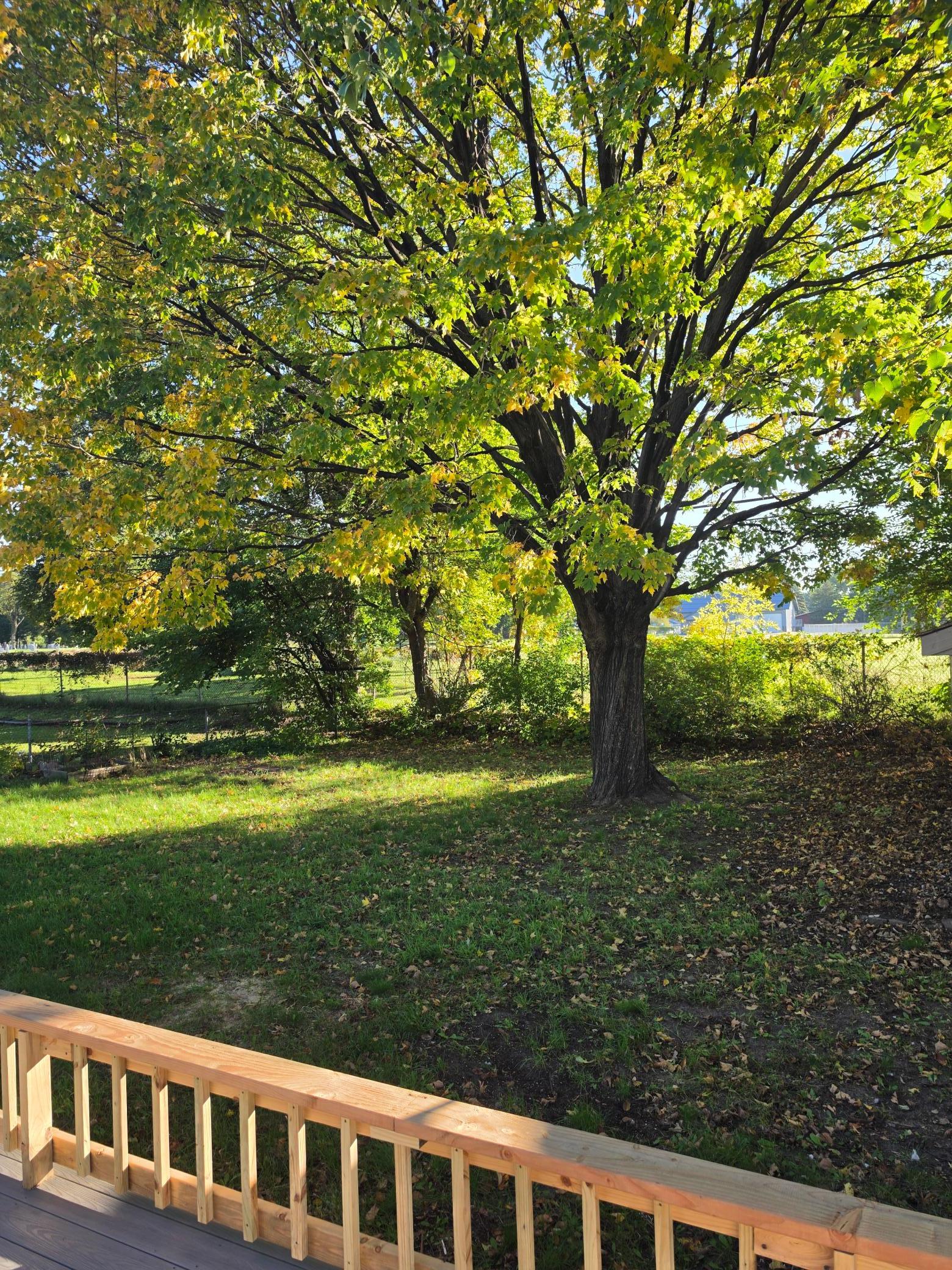 View of Residential at 6706 Drew Avenue, Brooklyn Center MN 55429, Brooklyn Center (23 of 25) - Mike Wilen | Minnesota Team Real Estate