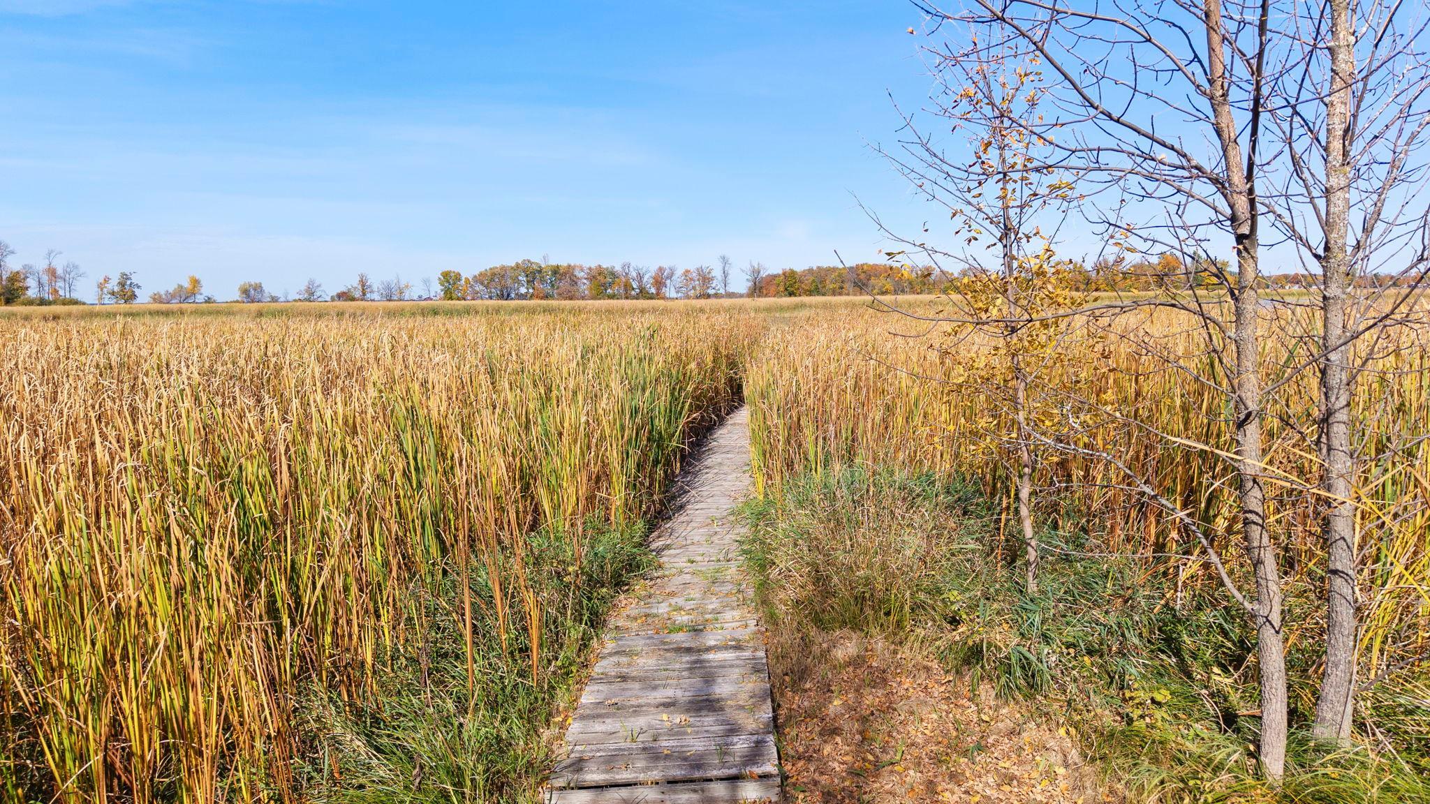 View of Residential at 970 Highway 27, Wahkon MN 56386, Wahkon (4 of 39) - Mike Wilen | Minnesota Team Real Estate