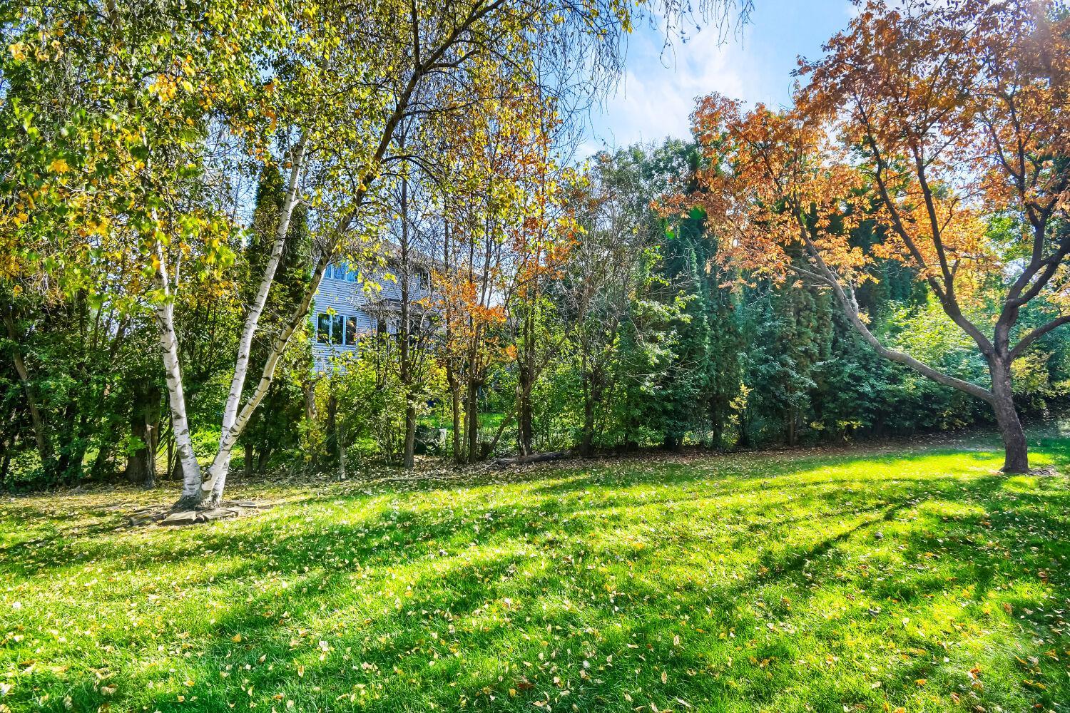 View of Residential at 10695 53rd Avenue, Plymouth MN 55442, Plymouth (25 of 25) - Mike Wilen | Minnesota Team Real Estate