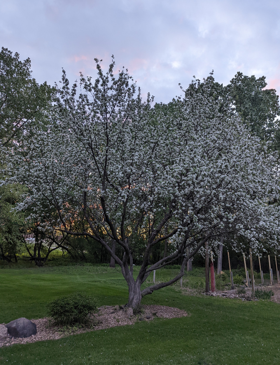 View of Residential at 1712 89th Avenue, Brooklyn Park MN 55444, Brooklyn Park (38 of 48) - Mike Wilen | Minnesota Team Real Estate