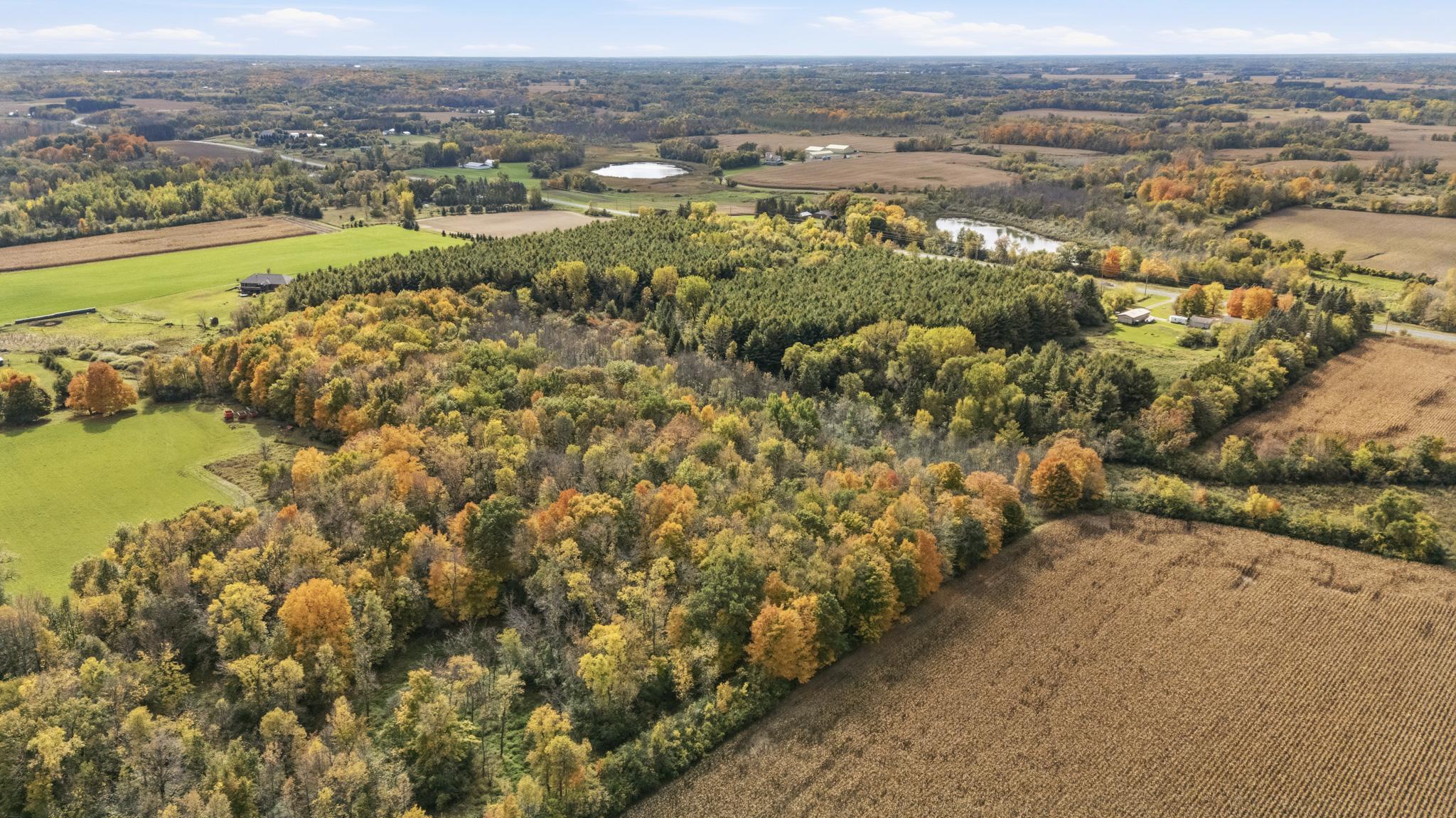 View of Residential at 48075 Acacia Trail, Stanchfield MN 55080, Stanchfield (43 of 49) - Mike Wilen | Minnesota Team Real Estate