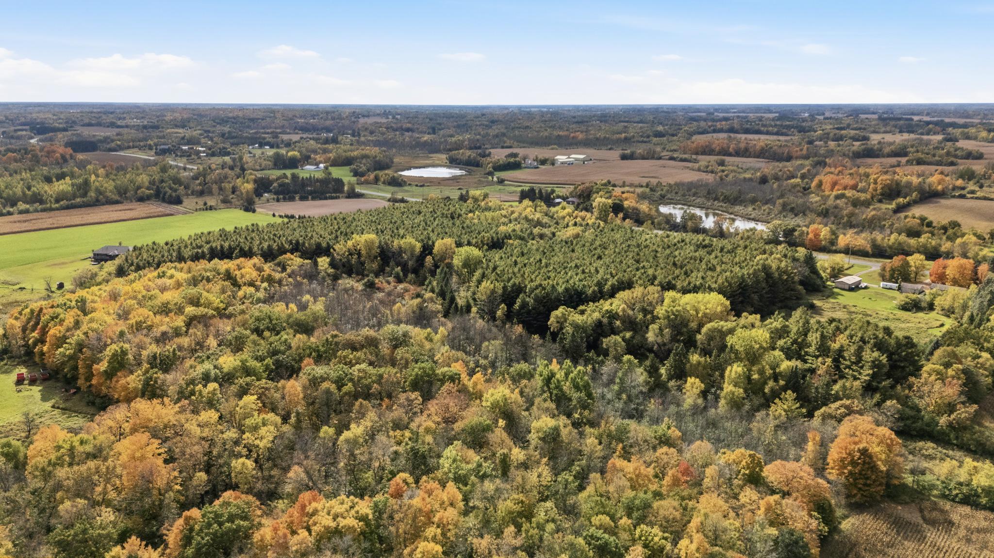 View of Residential at 48075 Acacia Trail, Stanchfield MN 55080, Stanchfield (6 of 49) - Mike Wilen | Minnesota Team Real Estate